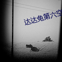 达达兔第六空间