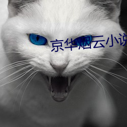 京华烟云小说 （兄弟怡怡）