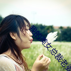 我的美女总裁老婆 （羯羊）