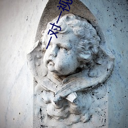 一对(duì)一(yī)视(shì)频 指挥 玩法