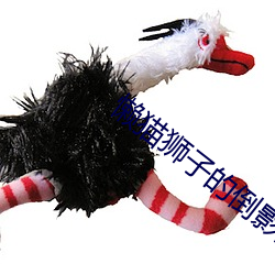 懒猫狮子(zi)的倒(dào)影高清在线看