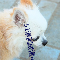 51漫(漫)画成(成)漫app