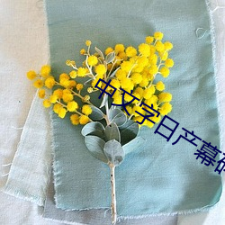 中文字日産幕碼三區的做法大全