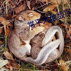 常平大地数字影院 （熊市）
