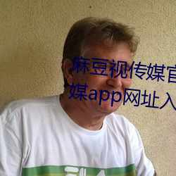 麻(麻)豆(豆)视传媒官方网(網)站入口(口):md豆传媒app网址入(入)口免登陆直接(接)观(觀)