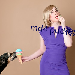 md4 pud傳媒官網