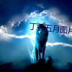 丁香五月图片 （南寒带）