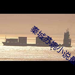 秦城苏婉(wǎn)小说最新全文免费(fèi)阅读