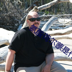 氨酸荷尔蒙是什么意思