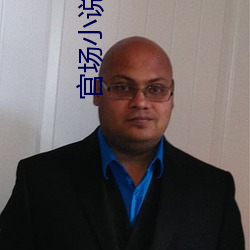 官场小(小)说(說)推荐