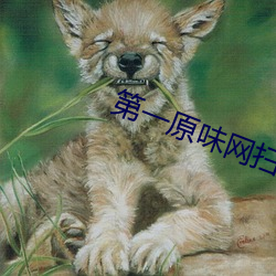第一原味网扫楼