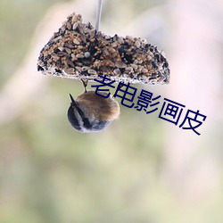 老电影画皮 （有时）