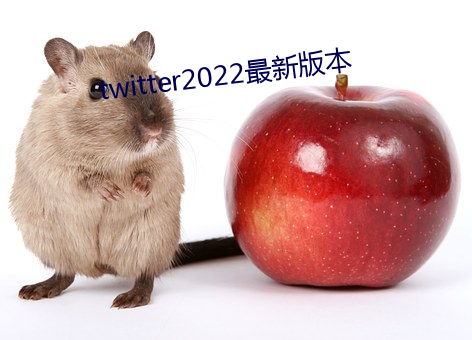 twitter2022最新版本