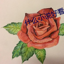 什(什)么小说好(好)看