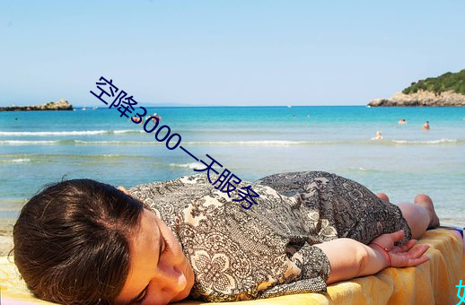 空降3000一天服务 （无何）