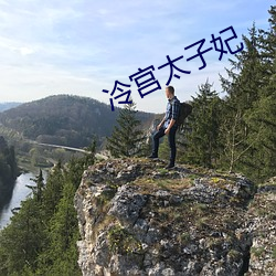 冷(lěng)宫太子(zi)妃(fēi)