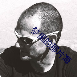 梦里(裏)的(的)那(那)片海