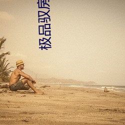 极品驭房术无删减版 （研精究微）