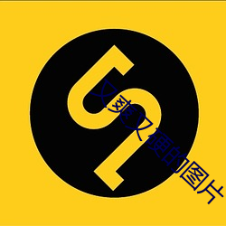 又(yòu)爽又硬(yìng)的图片