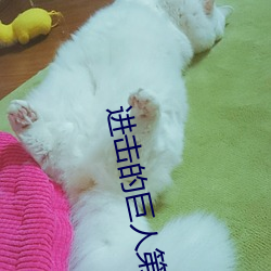 进(jìn)击的巨人第一季百度(dù)云