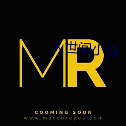 人(人)世间小(小)说(說)