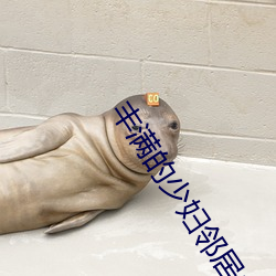 丰满的少妇邻居中文BD （胪列）