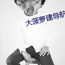 大菠(bō)萝建导(dǎo)航(háng)网站