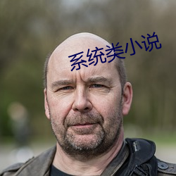系统类(lèi)小(xiǎo)说