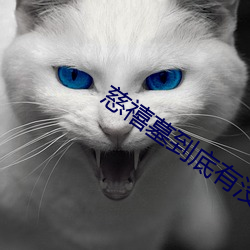 慈禧墓到底有沒有機關