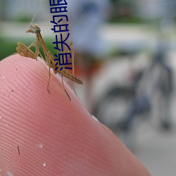 消失的眼角膜電影觀看完整