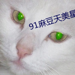 91(má)豆天美(mi)ǿ蜜桃传媒下载