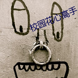 校园花心(心)高手