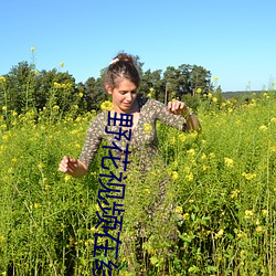 野花視頻在線觀看免費版高清