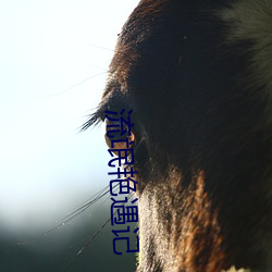 流氓艳遇(yù)记