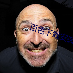 百色下載安裝