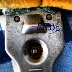 一品(pǐn)毒(dú)妃(fēi)