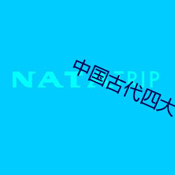中国(國)古代四大名著