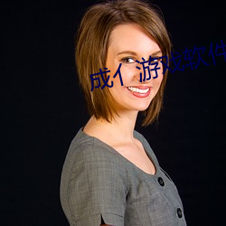 成亻遊戲軟件庫