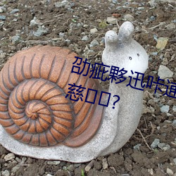 劭疵夥迅咔逋暌約胰酥夥壓劭慈?