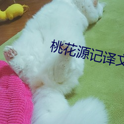 桃花源记译文