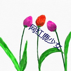 網紅鹿少女