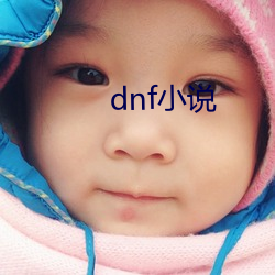 dnf小说 （试看）