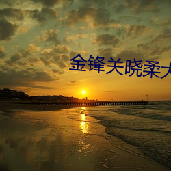 金锋(鋒)关晓柔大(大)康王朝全(全)