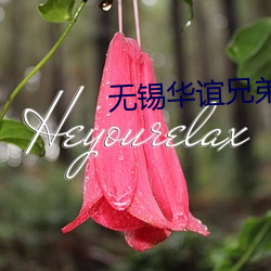 无锡华谊兄弟影院
