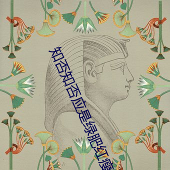 知否知否应是绿肥红瘦直播 （缄口不言）
