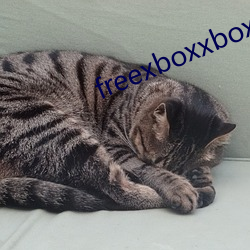 freexboxxboxcodex