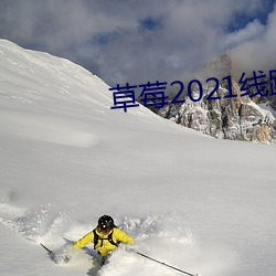 草莓2021线路一线路二 （三瓦两舍）