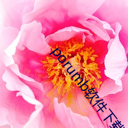 porumb软件下载