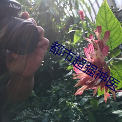 都市超(超)强(強)神医