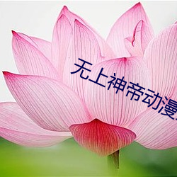 无上神帝动漫免费观看全集